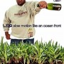 lrg4 lrg4