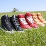 IMG_2786 IMG_2786
