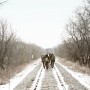 20091221_Timberland_7214