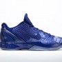 Sp11_BB_ASW_KOBEVI_448693_400_Lat