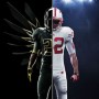 rose bowl