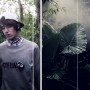 page_5_the_jungle