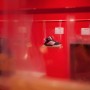 shoesup_imp09